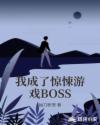 ҳ˾ϷBOSS